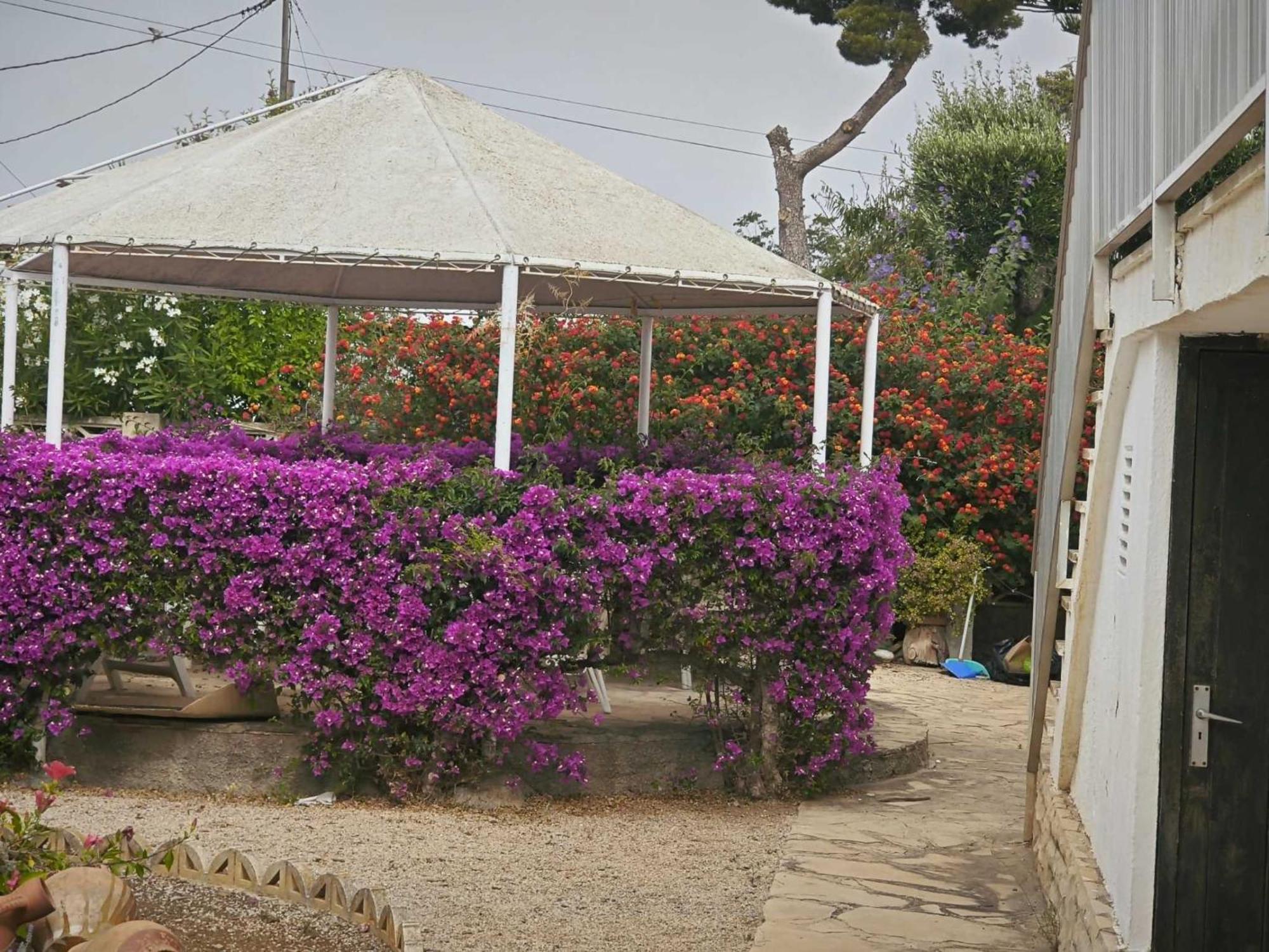 Apartamento Casa Geminis Vinarós Exterior foto